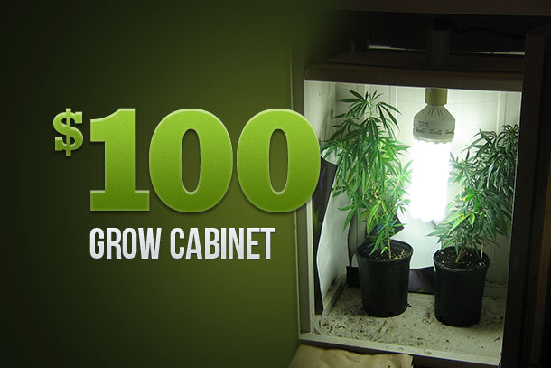 Marijuana Growers Hq The 100 Grow Cabinet Marijuana