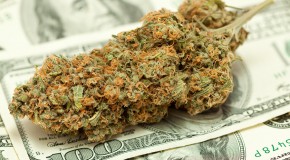 Bank Suspicion and Medical Marijuana