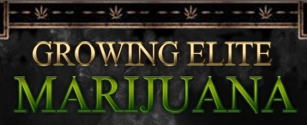 Growing Elite Marijuana – Book Review