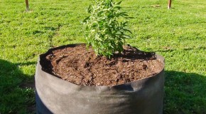 Smart Pots: A Smart way to Grow