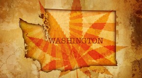 Washingtonâ€™s Cannabis Dispensaries – Muddy Waters