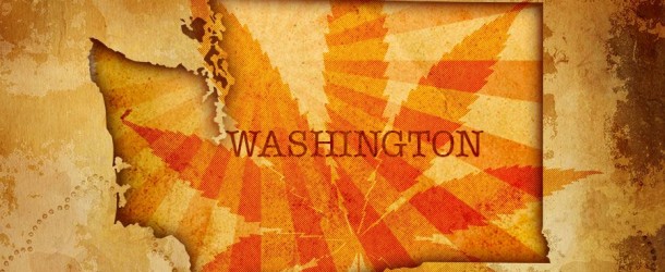 Washingtonâ€™s Cannabis Dispensaries – Muddy Waters