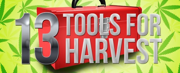 13 Harvest Tools Youâ€™ll Feel Lucky to Have