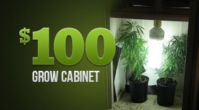 The $100 Grow Cabinet
