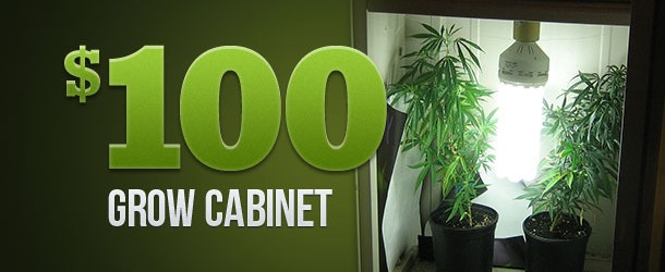 The $100 Grow Cabinet