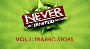 Never Get Busted Again: Traffic Stops – DVD Review