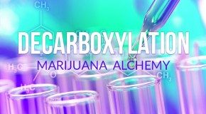 Decarboxylation: Marijuana Alchemy