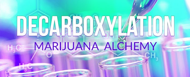 Decarboxylation: Marijuana Alchemy