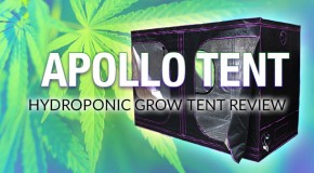 Apollo Horticulture’s Mylar Hydroponic Grow Tent for Indoor Growing